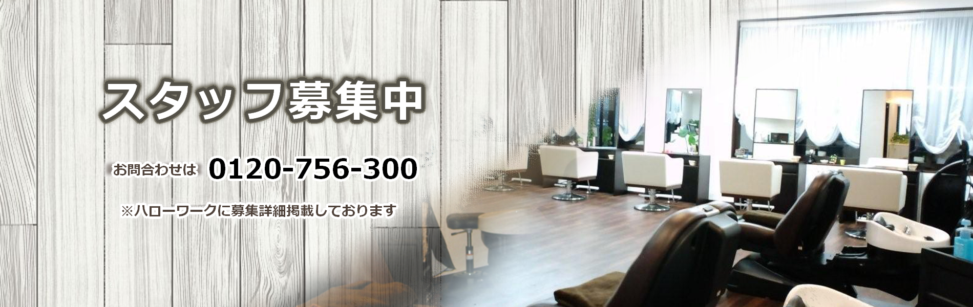 スタッフ募集中